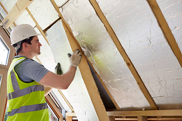 Insulation Replacement Services in Fruit Heights, UT