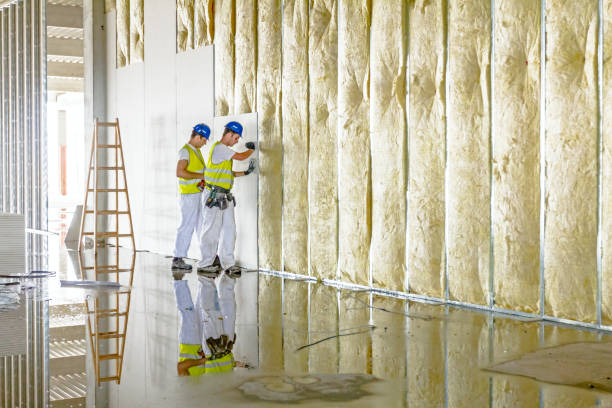 Best Affordable Insulation Services  in Fruit Heights, UT